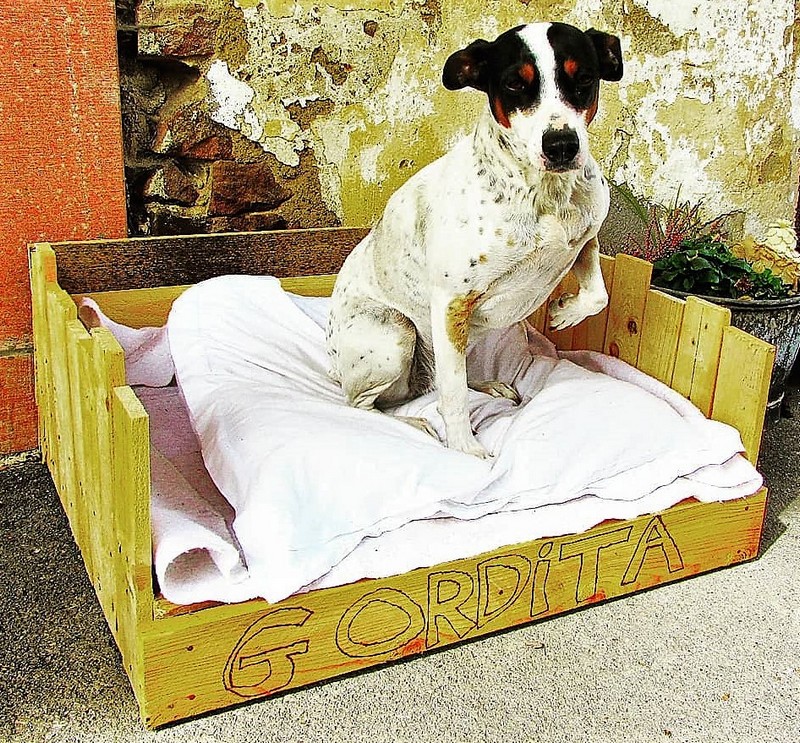 DIY with pallets (30)