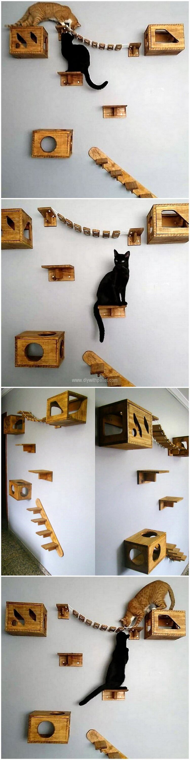 pallet cats play wall