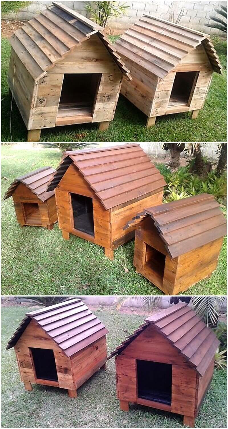 pallet dog houses